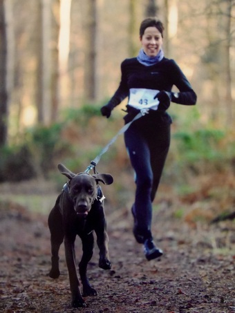 M9 Run 2